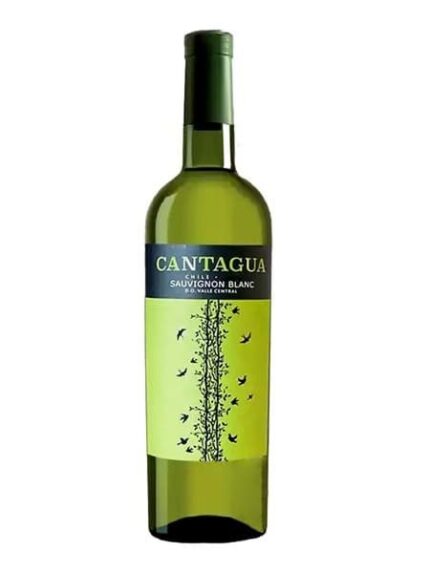 Vang Cantagua Sauvignon Blanc