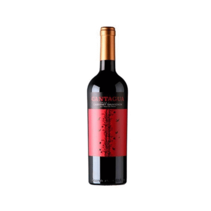 Vang Cantagua Cabernet Sauvignon