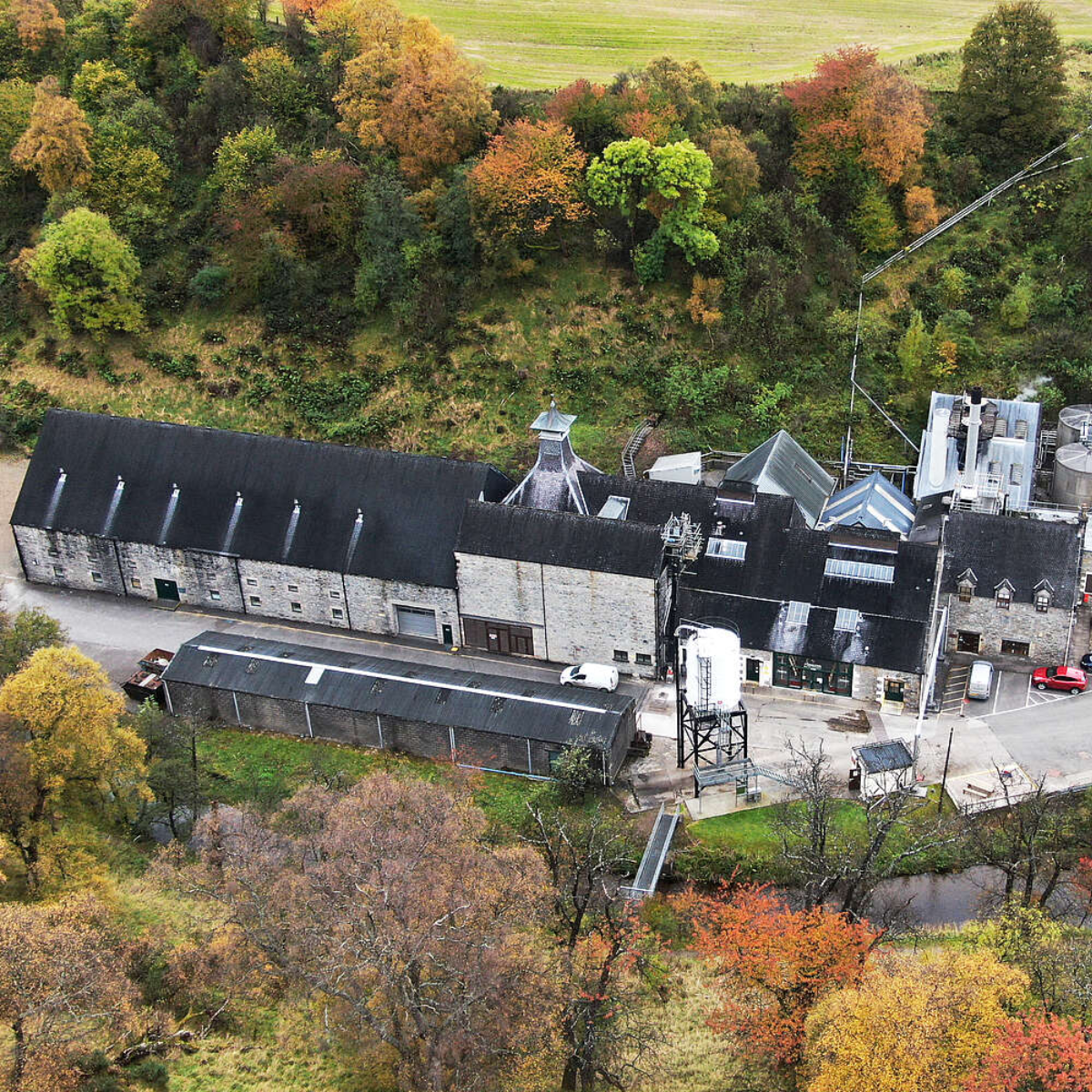 SINGLETON 18 Dufftown