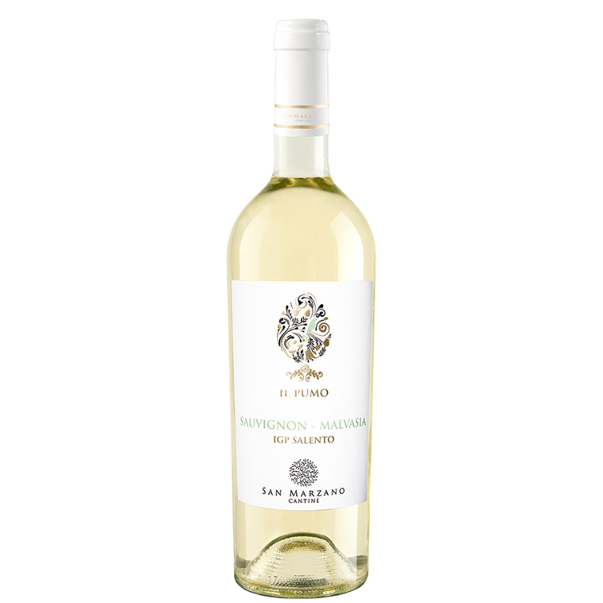 IL Pumo Sauvignon Malvasia IL Pumo Sauvignon Malvasia - Ảnh 1